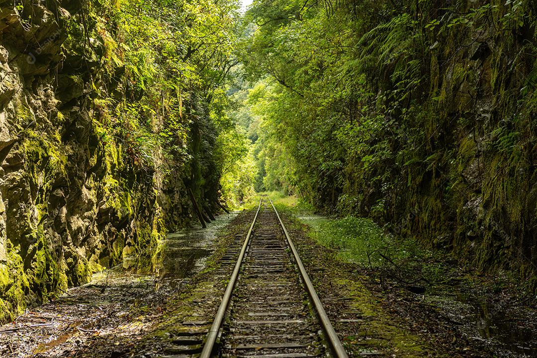 Floresta de travessia ferroviária próxima à entrada do túnel da casa de força em Bento Gonçalves, Rio Grande do Sul, Brasil, em 19 de novembro de 2017._-6