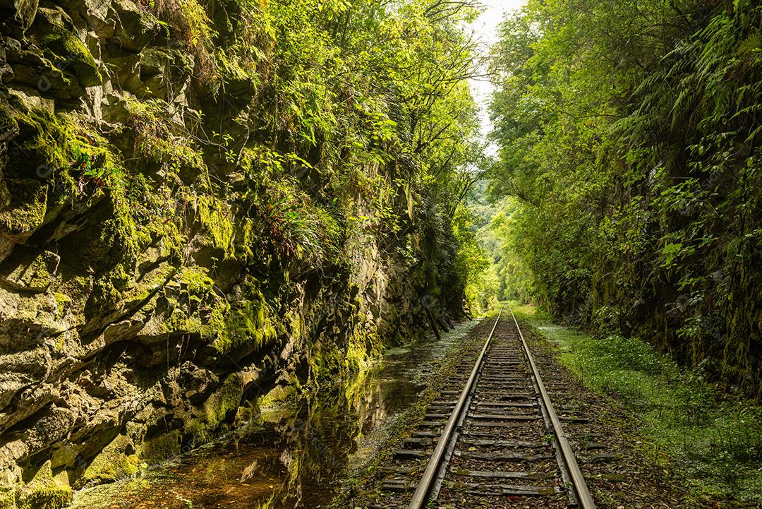 Floresta de travessia ferroviária próxima à entrada do túnel da casa de força em Bento Gonçalves, Rio Grande do Sul, Brasil, em 19 de novembro de 2017._-6