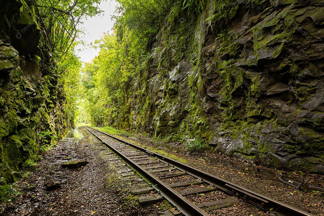 Floresta de travessia ferroviária próxima à entrada do túnel da casa de força em Bento Gonçalves, Rio Grande do Sul, Brasil, em 19 de novembro de 2017._-6
