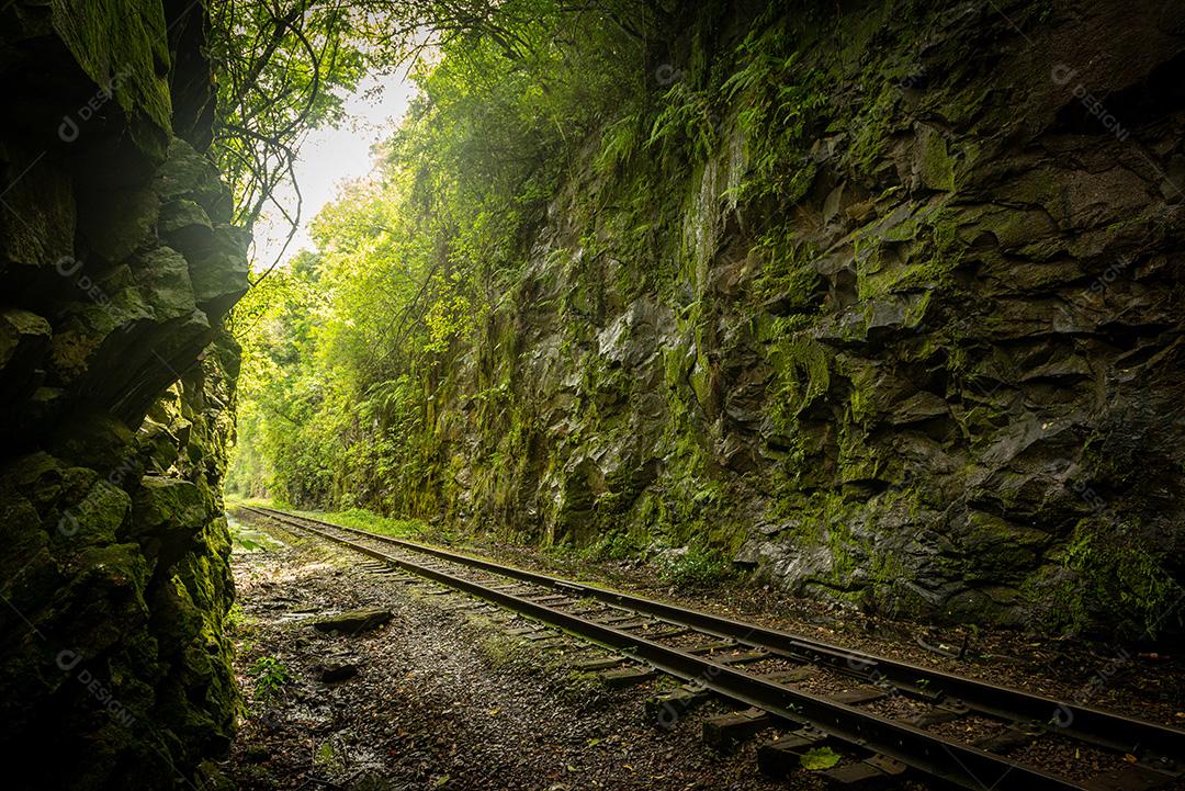 Floresta de travessia ferroviária próxima à entrada do túnel da casa de força em Bento Gonçalves, Rio Grande do Sul, Brasil, em 19 de novembro de 2017._-6