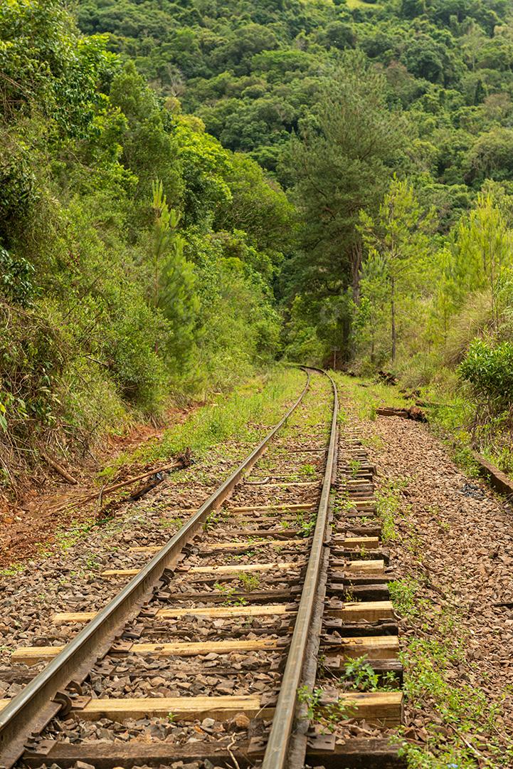 Railway crossing forest near the entrance to the powerhouse tunnel in Bento Gonçalves, Rio Grande do Sul, Brazil, on November 19, 2017._-6