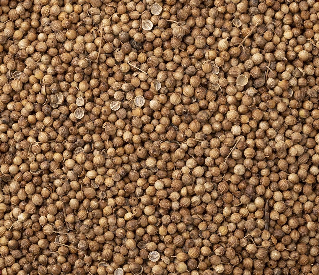 Vista superior, sementes de coentro. Pano de fundo da comida.