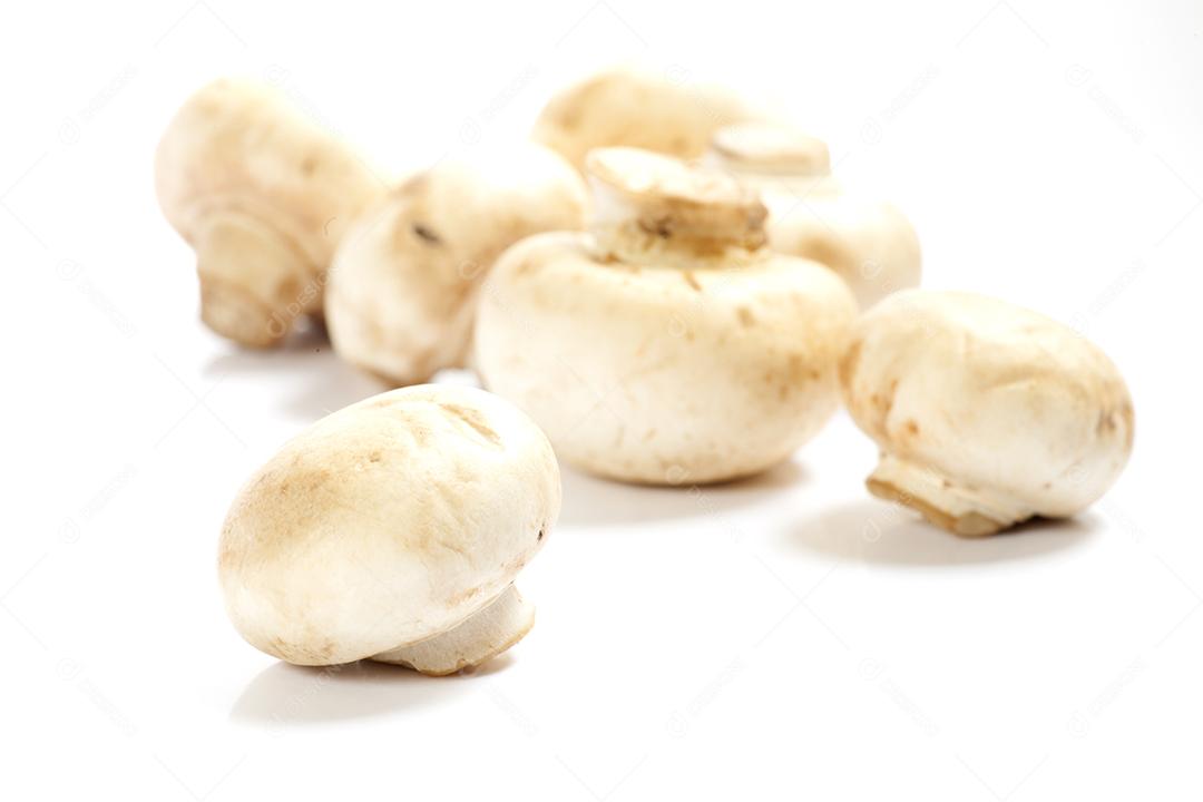 Champignon paris cogumelos sobre fundo branco.