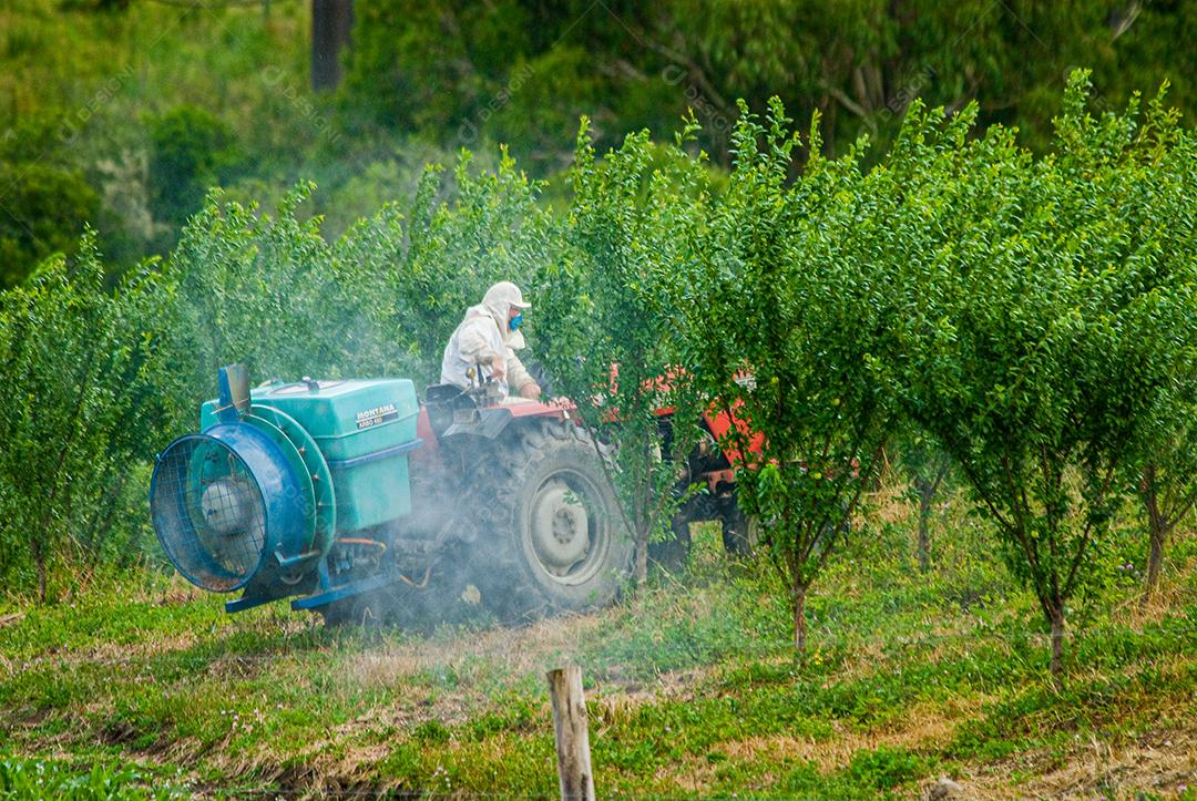 Homem no trator pulverizando terras férteis de plantação agrícola.