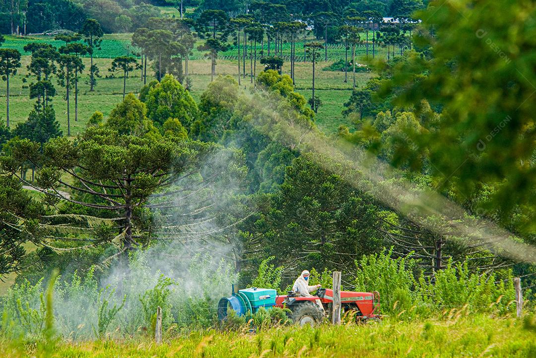 Homem no trator pulverizando terras férteis de plantação agrícola.