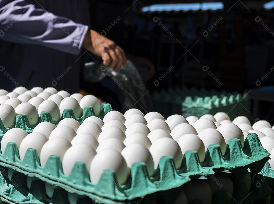 Cartela de Ovos de Galinha Branca comida