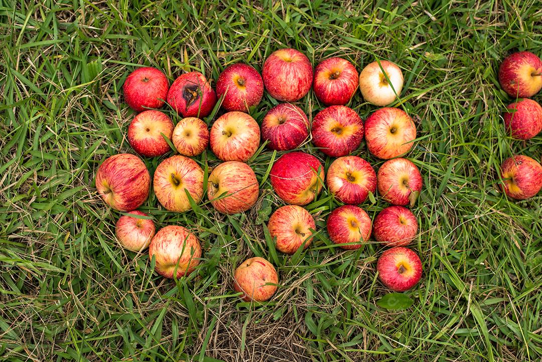 Comida maçã frutas alimentos saudaveis mercado armazem