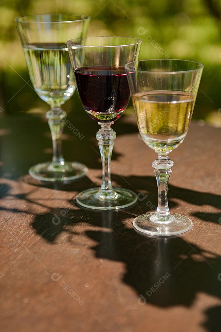 Taças de vidros copos bebida bar gargalo