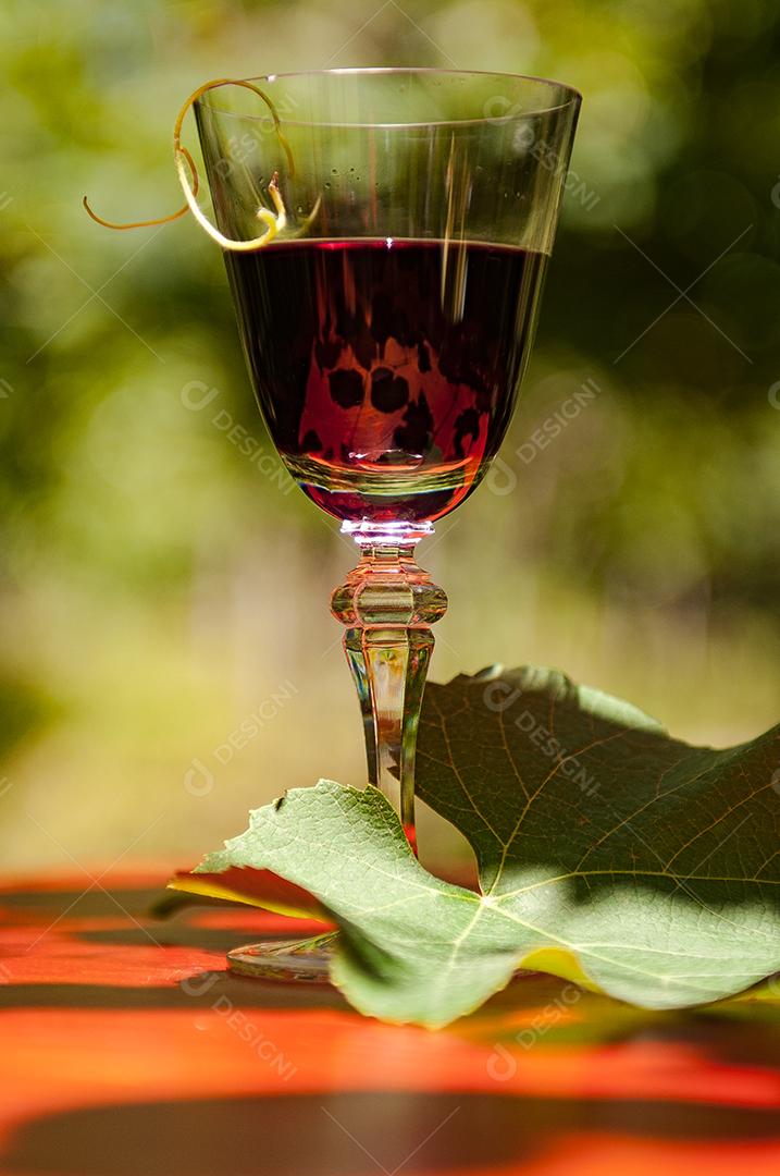 Taças de vidros copos bebida bar gargalo