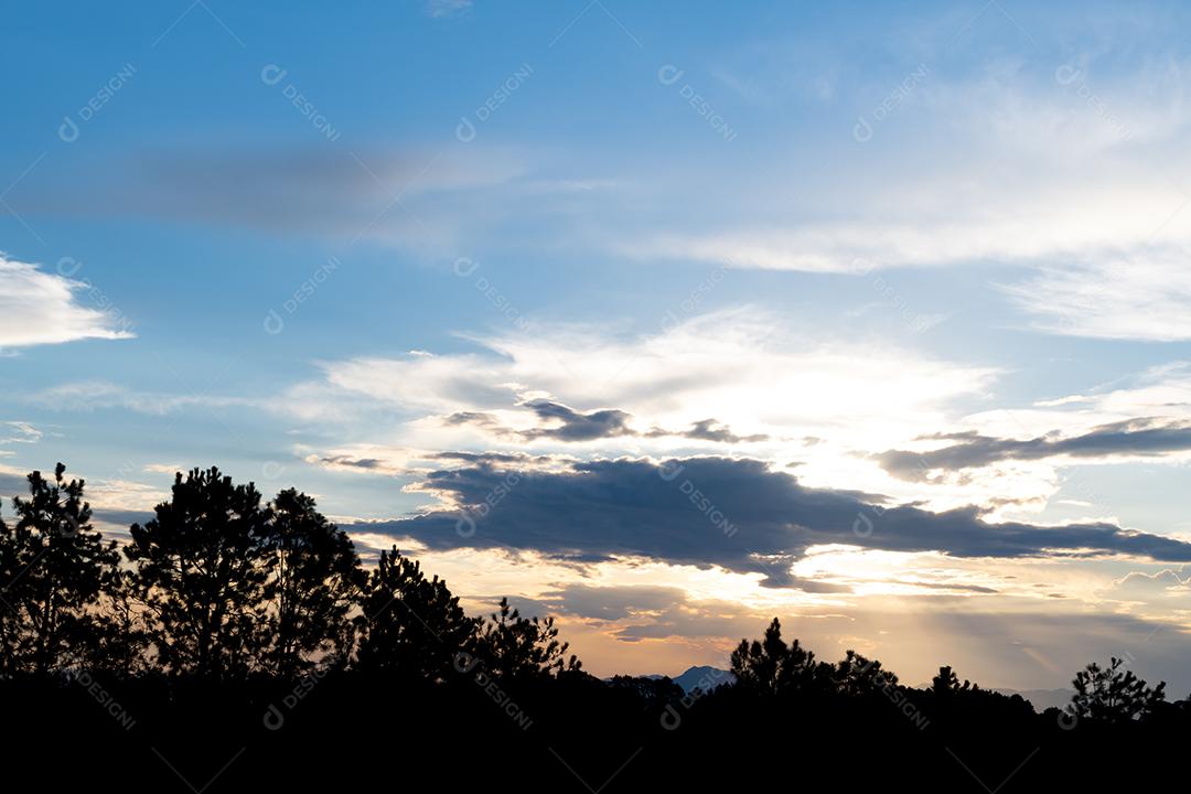 Silhueta de árvores ao pôr do sol com céu nublado no Brasil.
