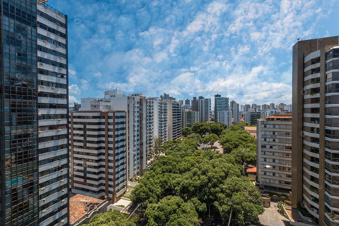 Vista aérea de avenida arborizada e prédios na cidade de Salvador Bahia Brasil.