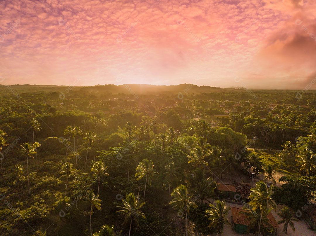 Vista aérea de drone do pôr do sol sobre coqueiros em Ilhéus Bahia Brasil