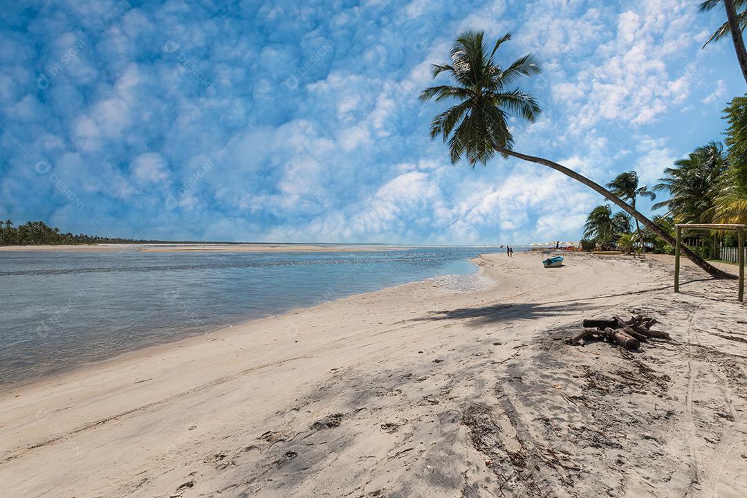 Praia tropical com coqueiros inclinados na Ilha de Boipeba Bahia Brasil.