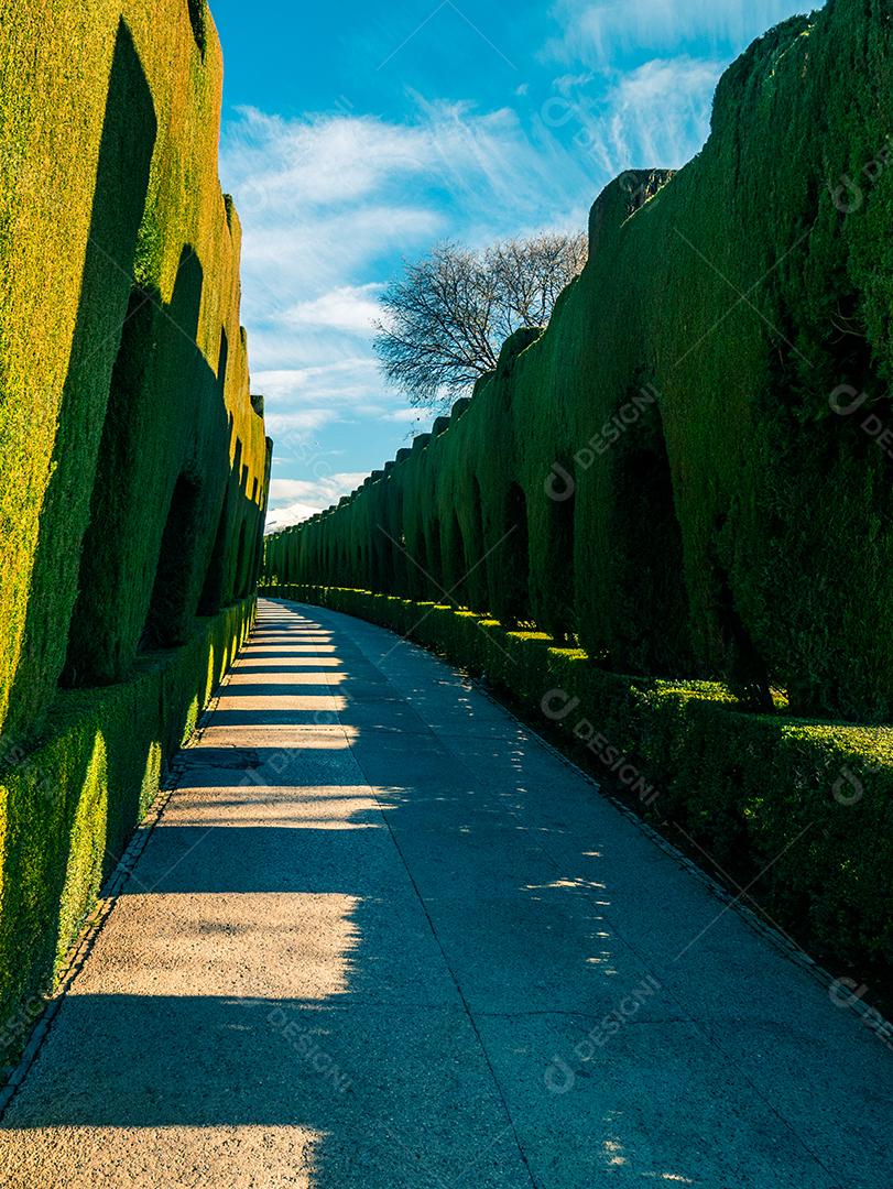 Vista de um caminho cercado por arbustos verdes no Palácio de Alhambra.