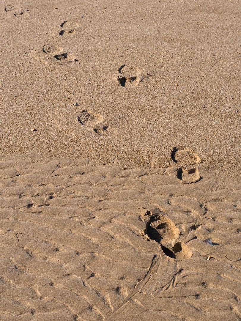 Pegadas na areia. Passos na margem.