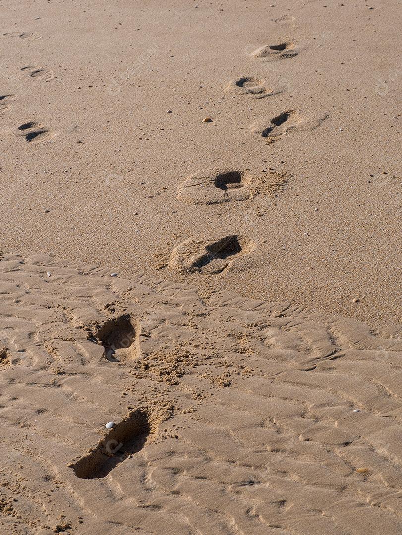 Pegadas na areia. Passos na margem.