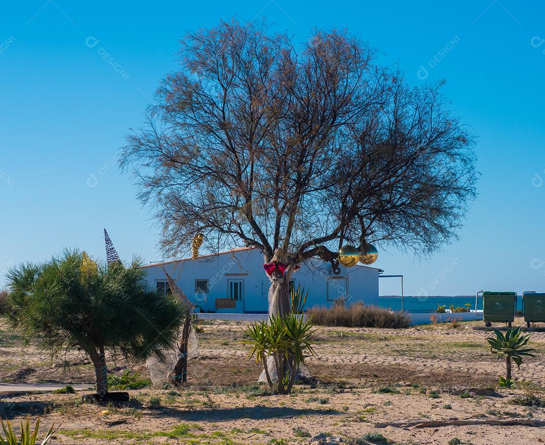 árvore na rua com enfeites de Natal.