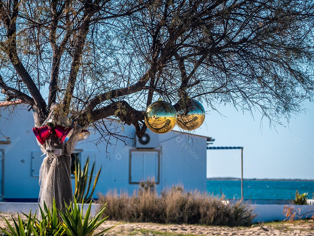 árvore na rua com enfeites de Natal.