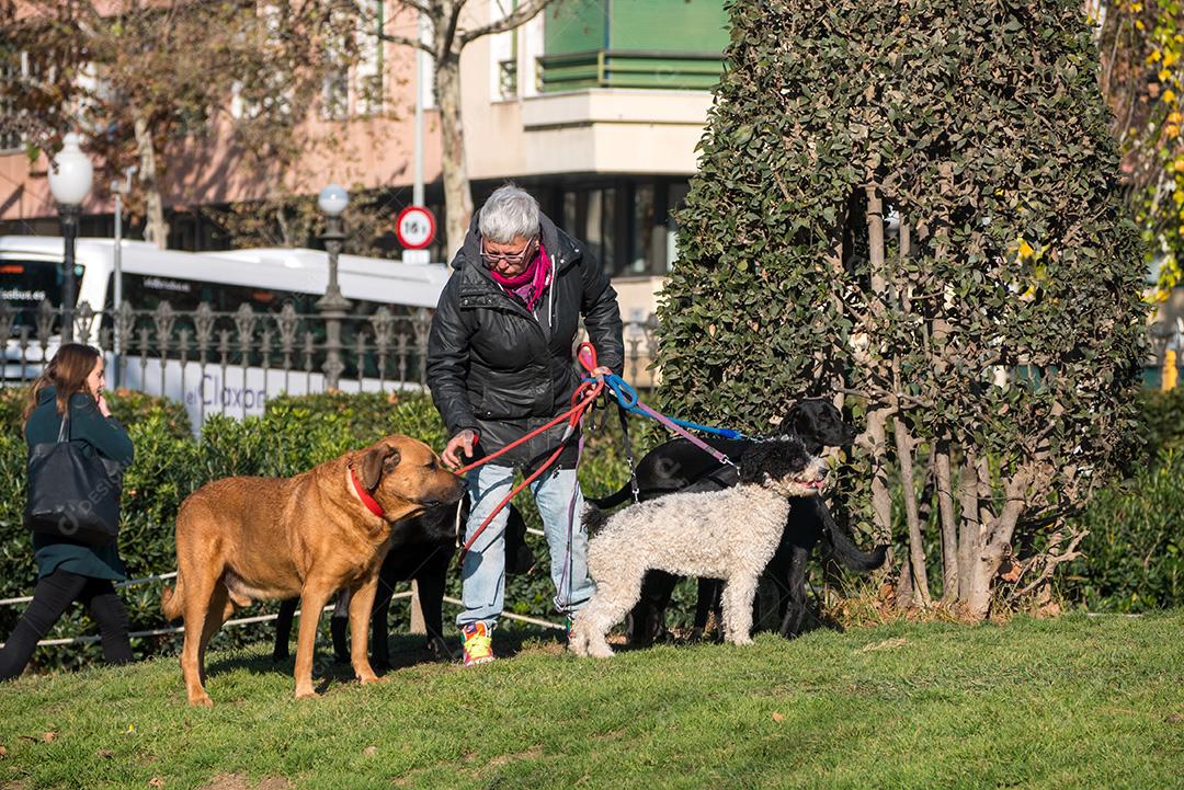 Barcelona, ​​Espanha - 21 de dezembro de 2017: Velha andando com cães no parque Ciutadella.