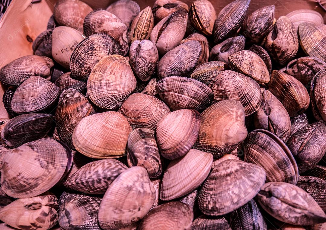 Quadro completo de berbigão em um mercado de frutos do mar.