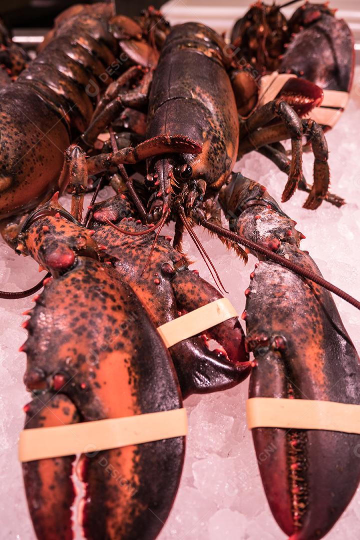 Perto de lagostas no gelo no mercado de frutos do mar.