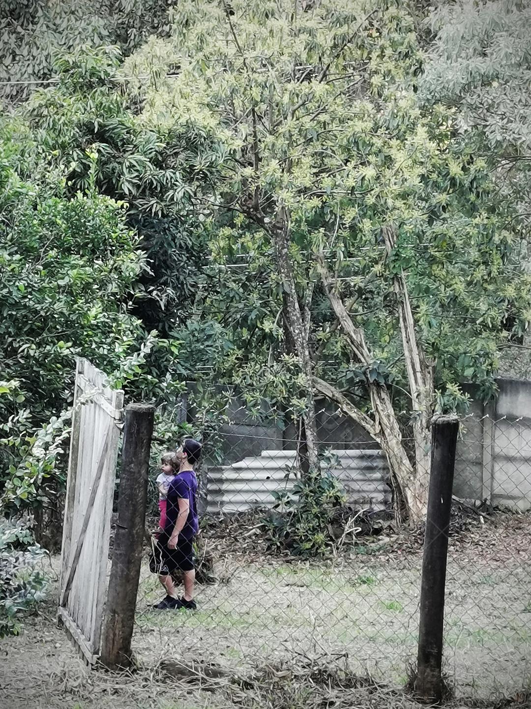 dois irmãos brasileiros juntos olhando para as árvores.