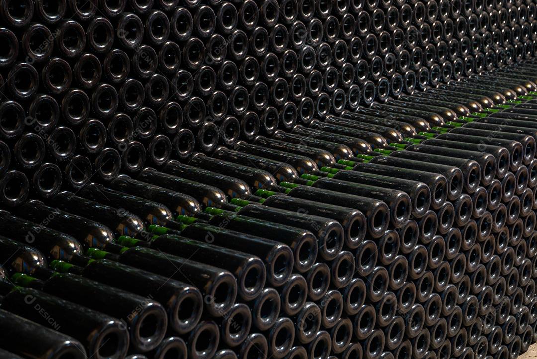 Vinicola Panceri 18.01.08