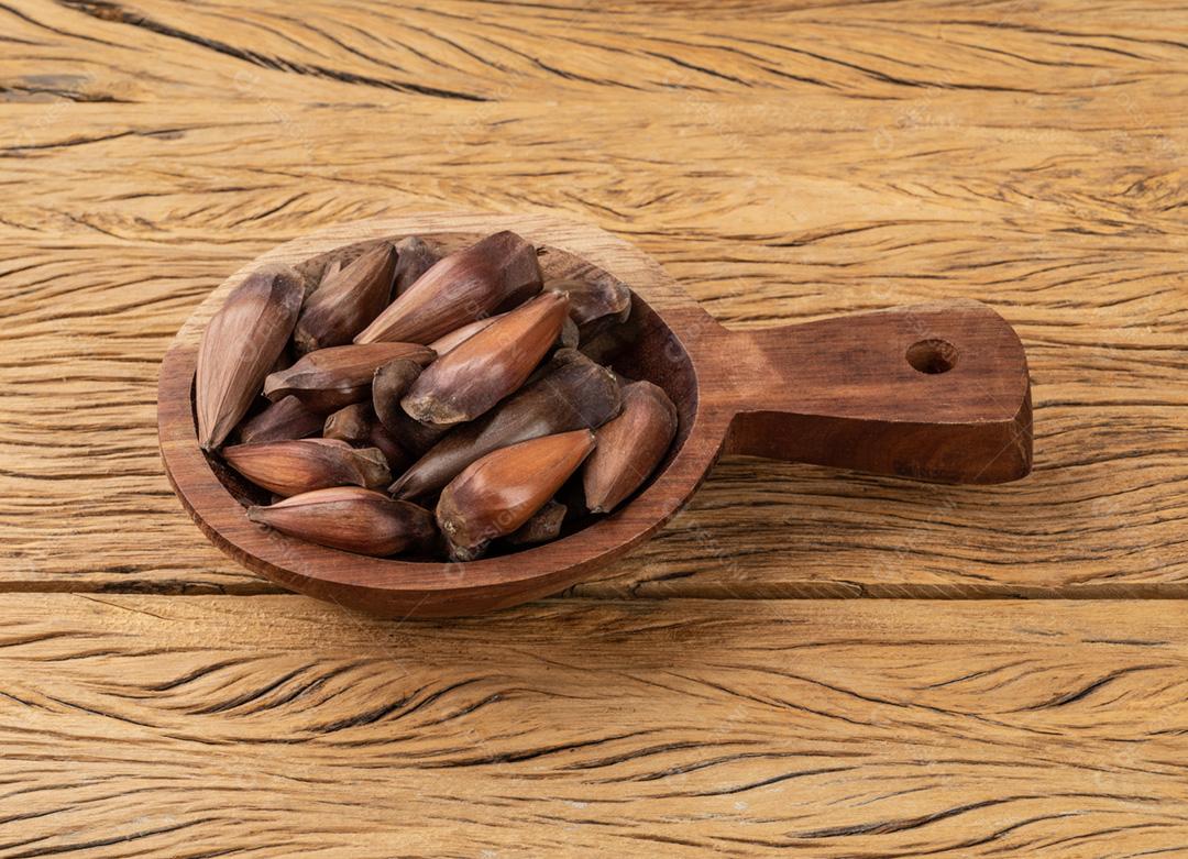 Semente de pinheiro, comida típica brasileira do festival de junho sobre madeira