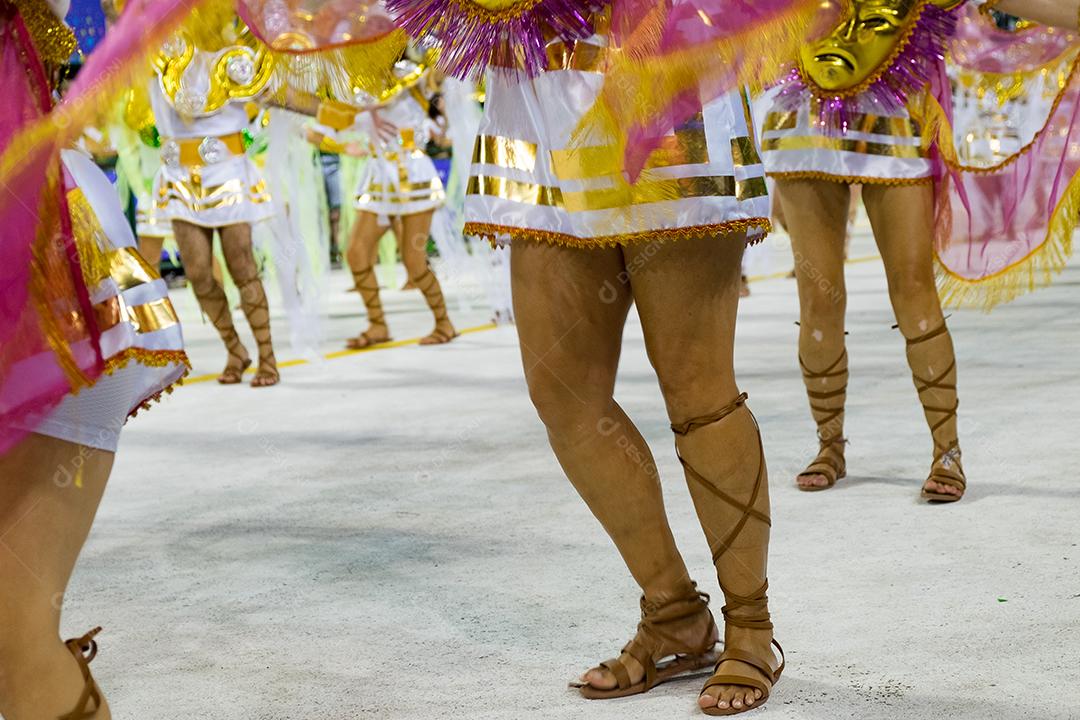 Carnaval do Rio de Janeiro fantasias folias