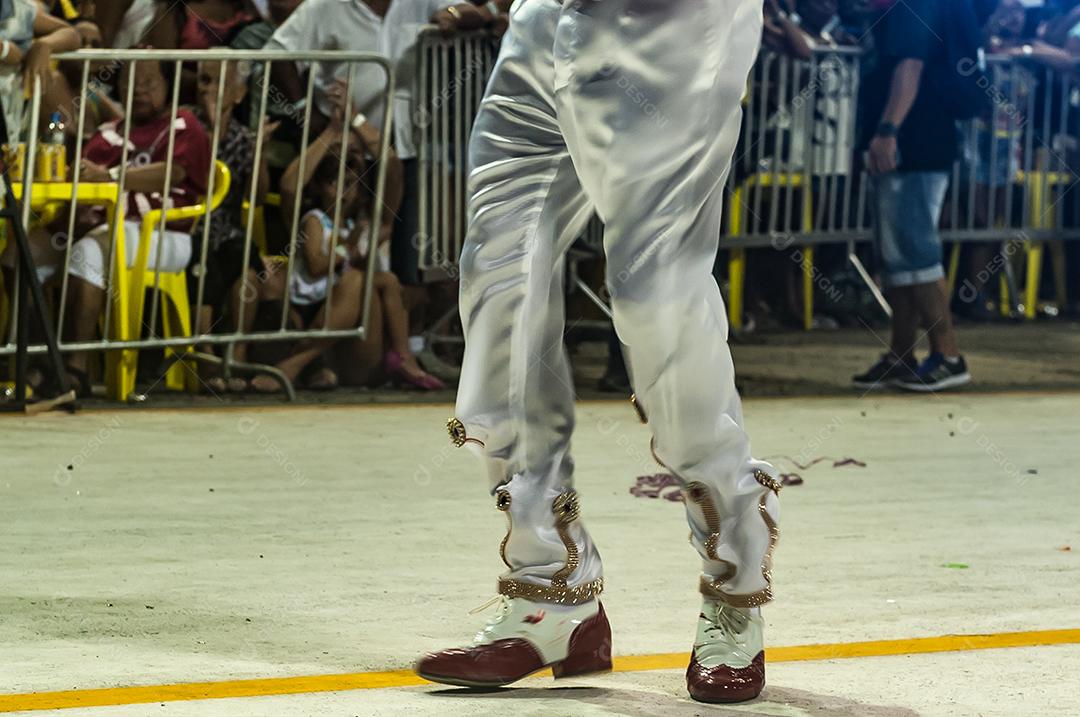 Carnaval do Rio de Janeiro fantasias folias