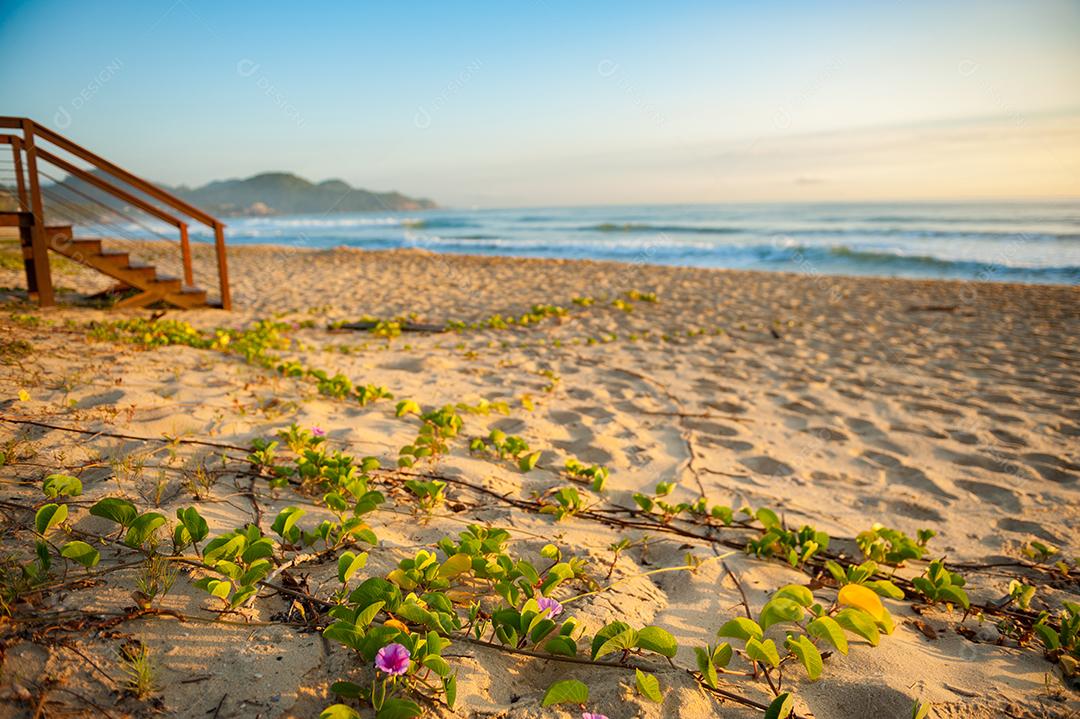 Paisagem ponte travesias praia céu nublado