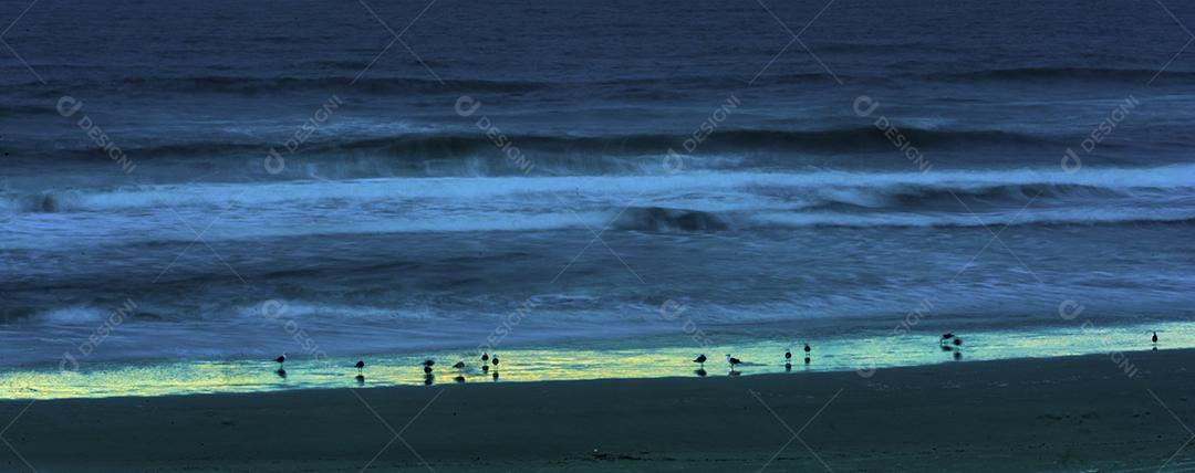 Paisagem praia mar areia por do sol