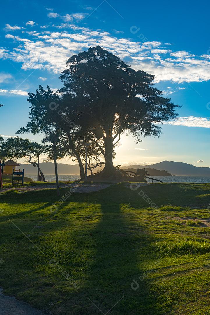 Visto superior de paisagem linda no campo ao por do sol