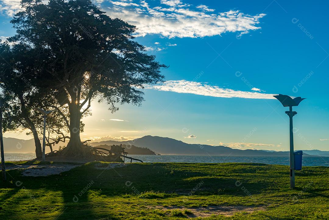 Visto superior de paisagem linda no campo ao por do sol