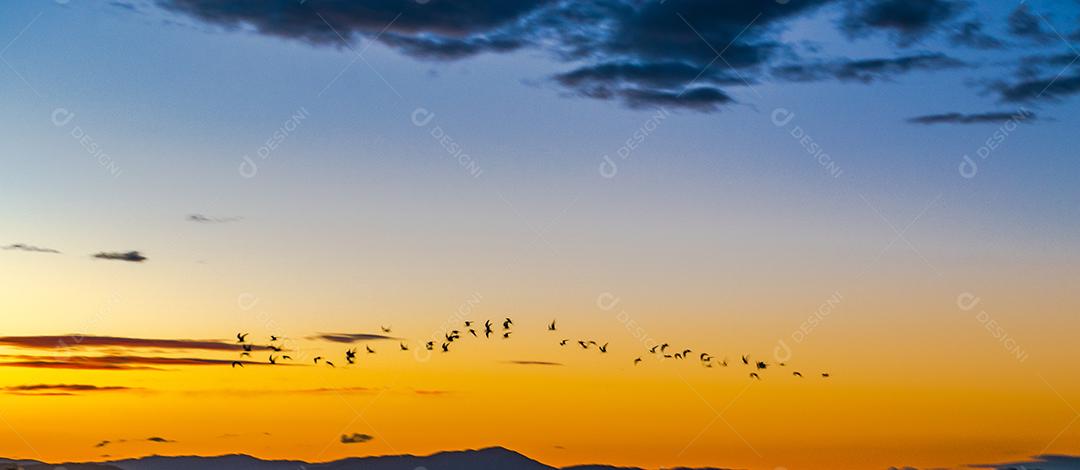 Céu lindo colorido ao por do sol com nuvens.