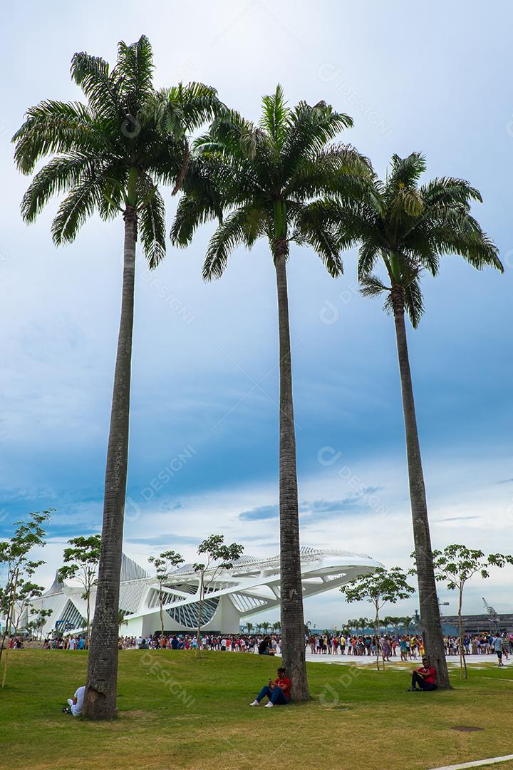Vista superior de praia com coqueiros, paisagem