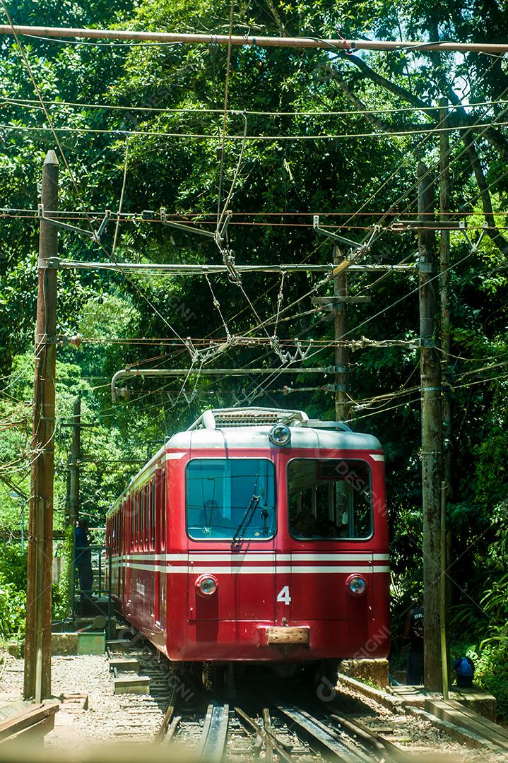Passeios de metro sobre floresta