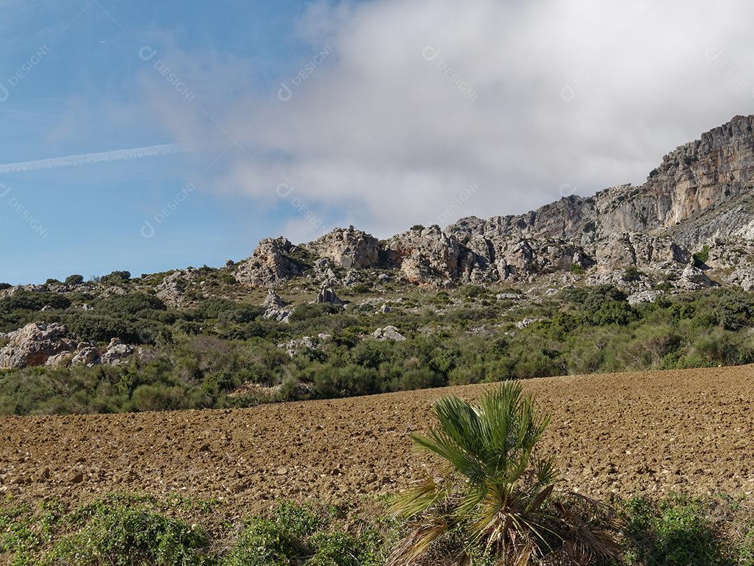 Vista de arbustos e vegetação na base do El Torcal de antequera.
