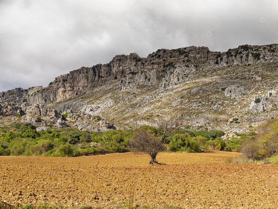 Vista de arbustos e vegetação na base do El Torcal de antequera.