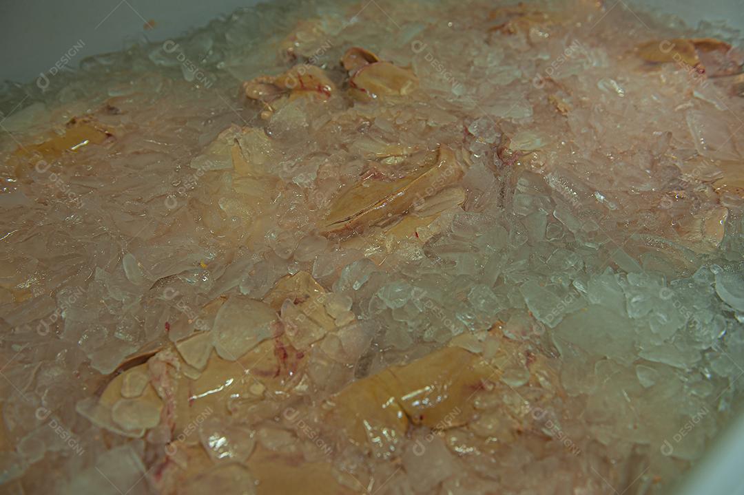 Indústria brasileira responsável pela produção de cortes nobres de patos inteiros localizada em Santa Catarina.