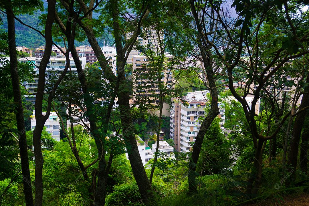 Vista de prédios no meio da floresta tropical no Rio de Janeiro.