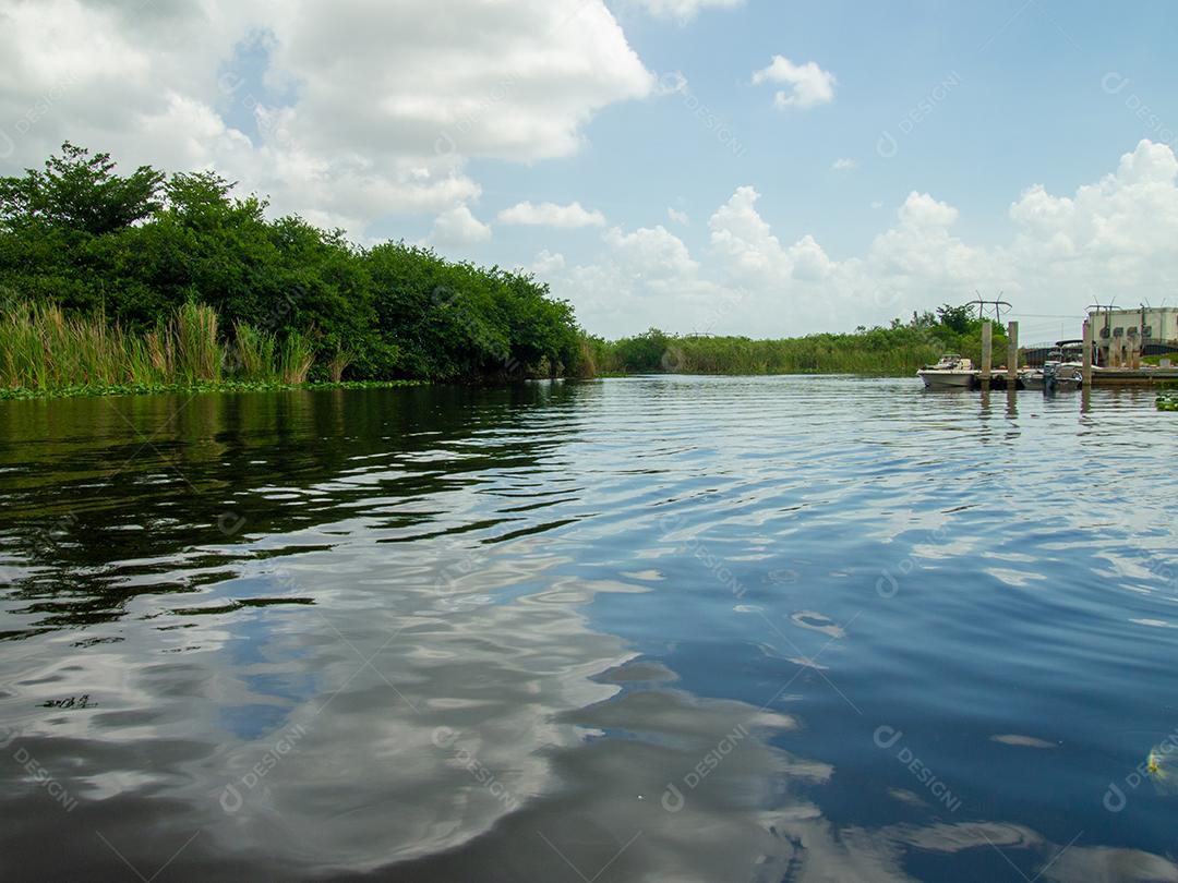 MIAMI, EUA - 19 de julho de 2015: Uma bela vista do Parque Nacional pântano no verão.