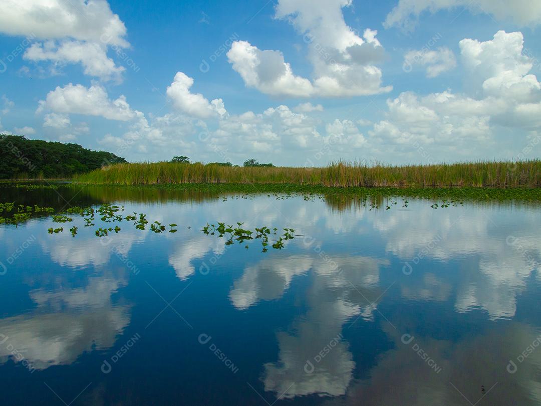 Uma bela vista do pântano no verão.