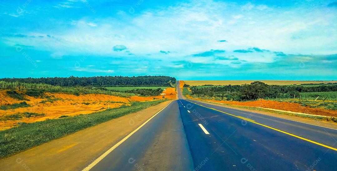 Vista da estrada entre plantações de cana-de-açúcar