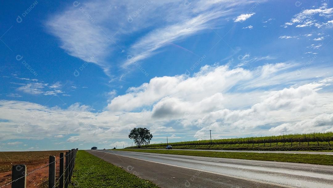 Vista da estrada entre plantações de cana-de-açúcar
