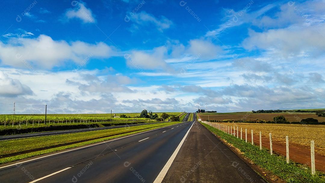 Vista da estrada entre plantações de cana-de-açúcar
