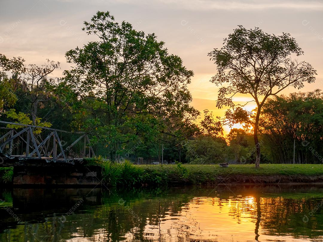 sunset view with trees and sky reflecting in the lake.