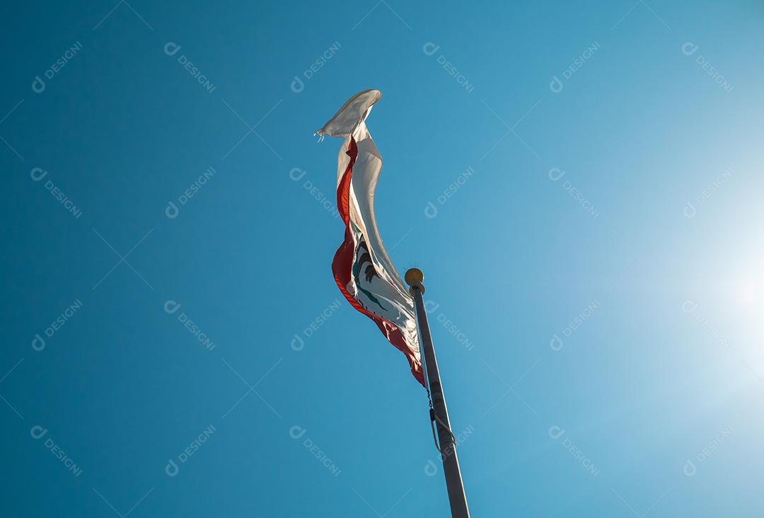 Vista de baixo da bandeira da Califórnia tremulando.
