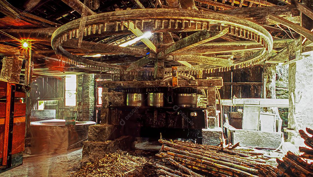 Agronegócio no Brasil, o setor que mais movimenta a economia do país e gera milhares de empregos.