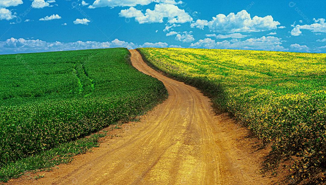 Agricultural plantations of different cultures.. Agribusiness in Brazil, the sector that most moves the countrys economy and generates thousands of jobs.